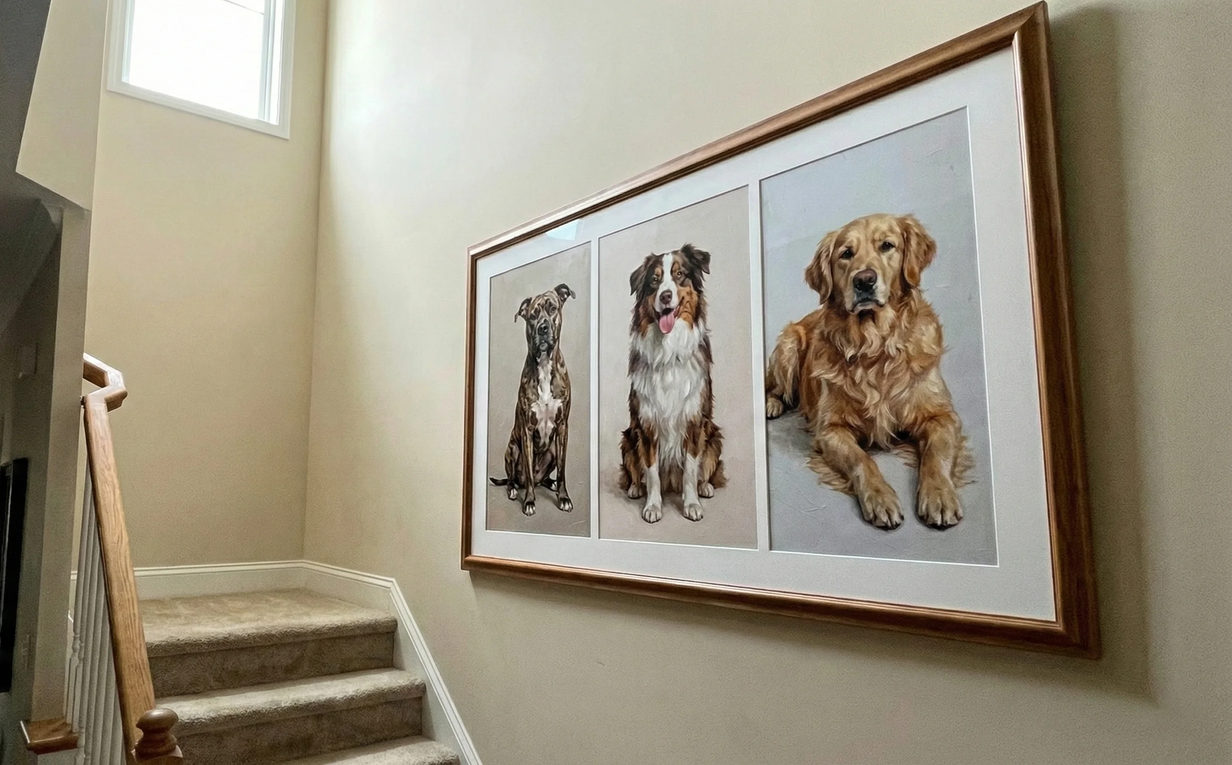 Pet portrait